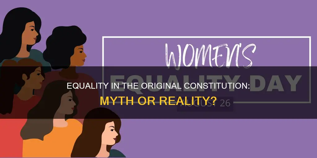 were all people treated equally in the original constitution