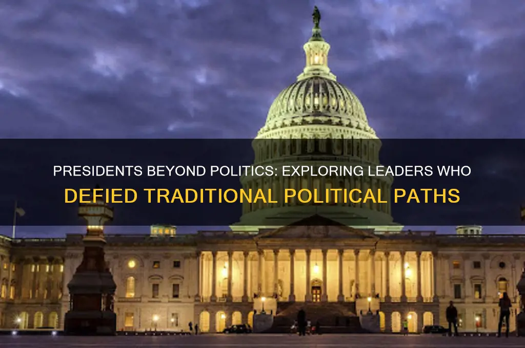 were any presidents not politics