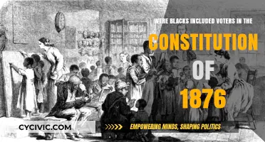 The 1876 Constitution: Were Black Voters Included?