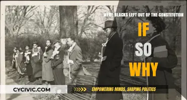 The Constitution: Blacks Excluded?