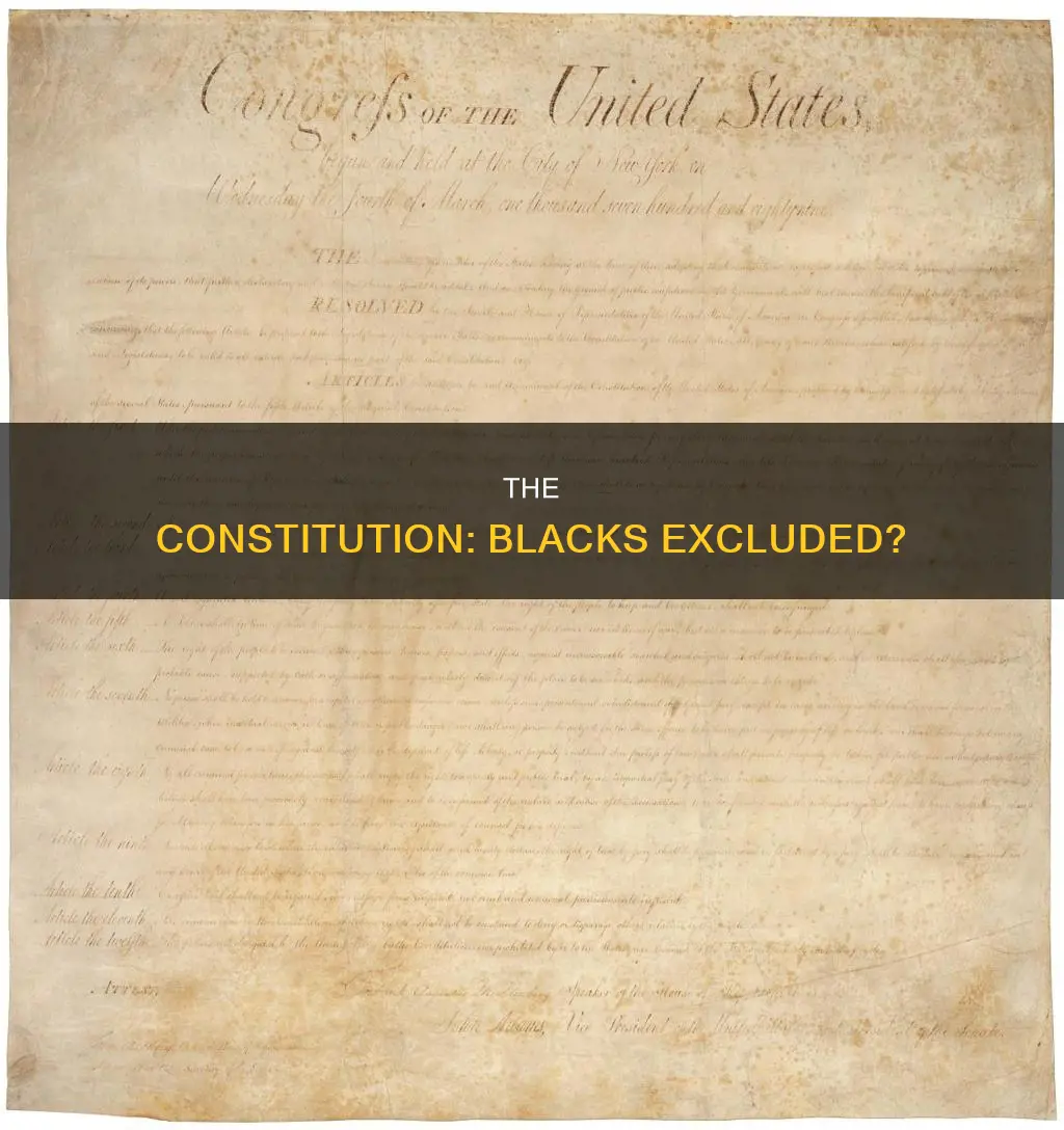 were blacks left out of the constitution if so why