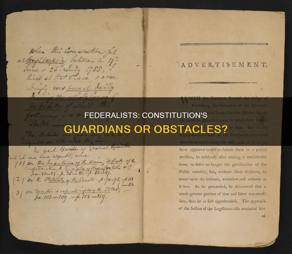 were federalists pro constitution