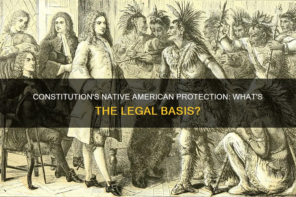 were in the constitution does it protect native american