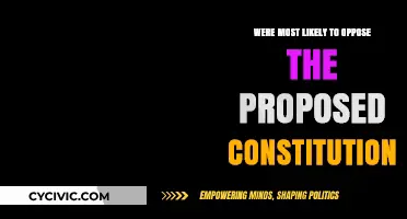 Who Opposed the Constitution and Why?