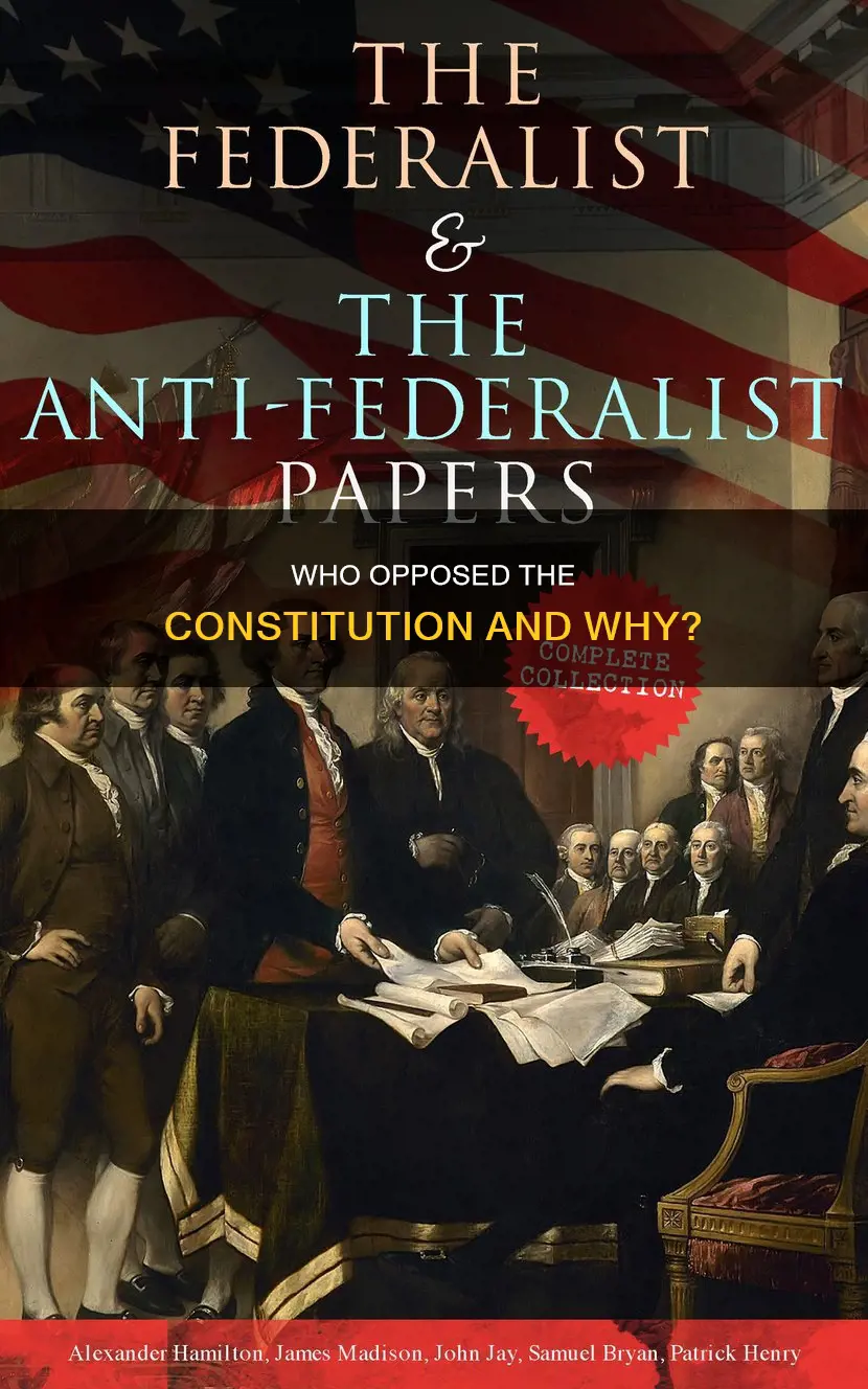 were most likely to oppose the proposed constitution