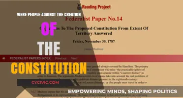 Opposition to the Constitution: A Historical Perspective