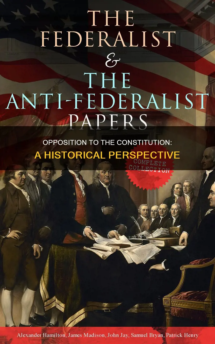 were people against the creation of the constitution