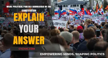 Political Parties: Constitutional Omission Explained