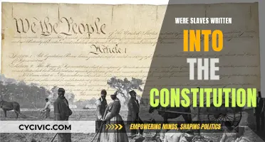 Slavery's Written Constitution: A Historical Examination