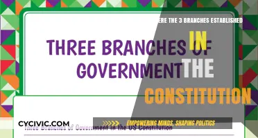 Establishing the Three Branches: Our Constitutional Framework
