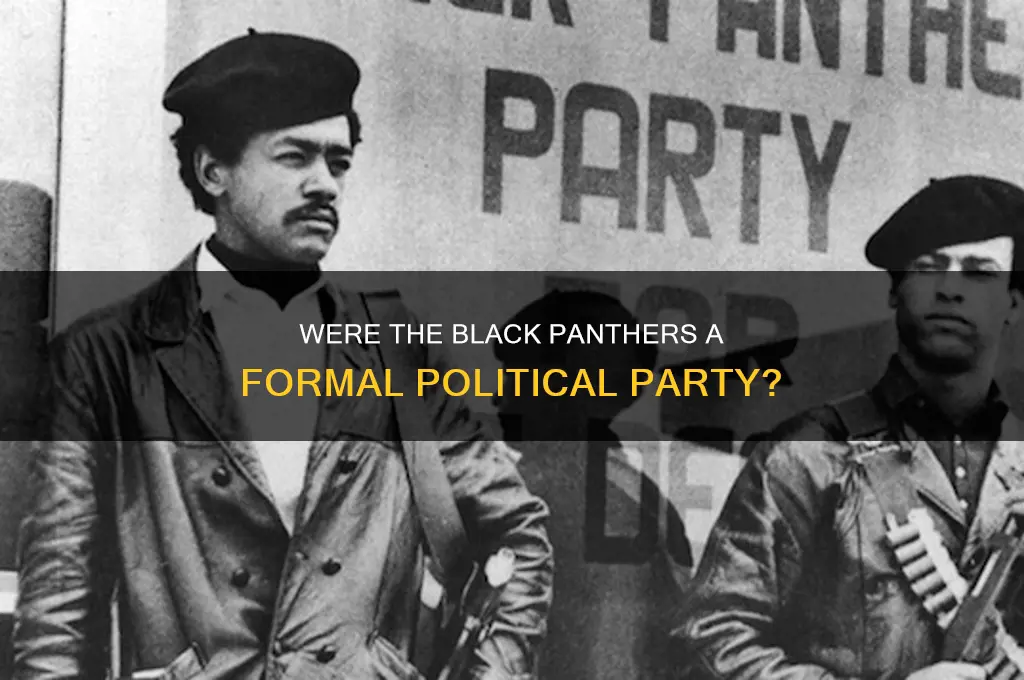 were the black panthers a formal political party