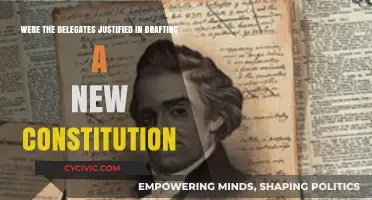 Why a New Constitution? Delegates' Justification