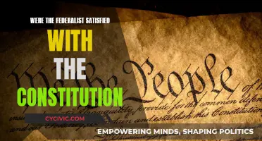 Federalists' Satisfaction: The Constitution's Impact