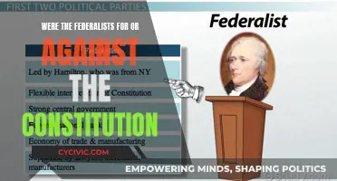 Federalists: Constitution's Friends or Foes?