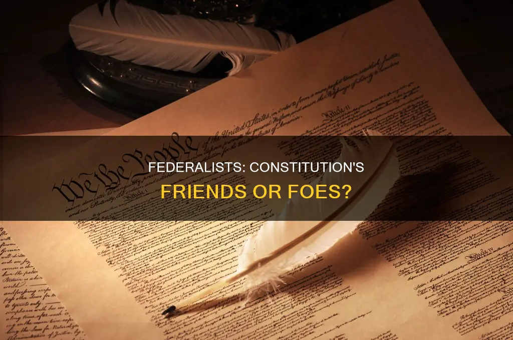 were the federalists for or against the constitution