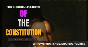 Federalists: Constitution's Biggest Supporters?
