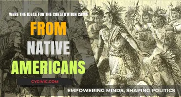 Constitution's Native American Roots: Influence and Impact