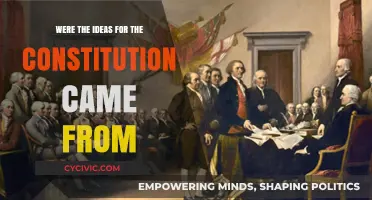 Constitution's Roots: A Historical Perspective