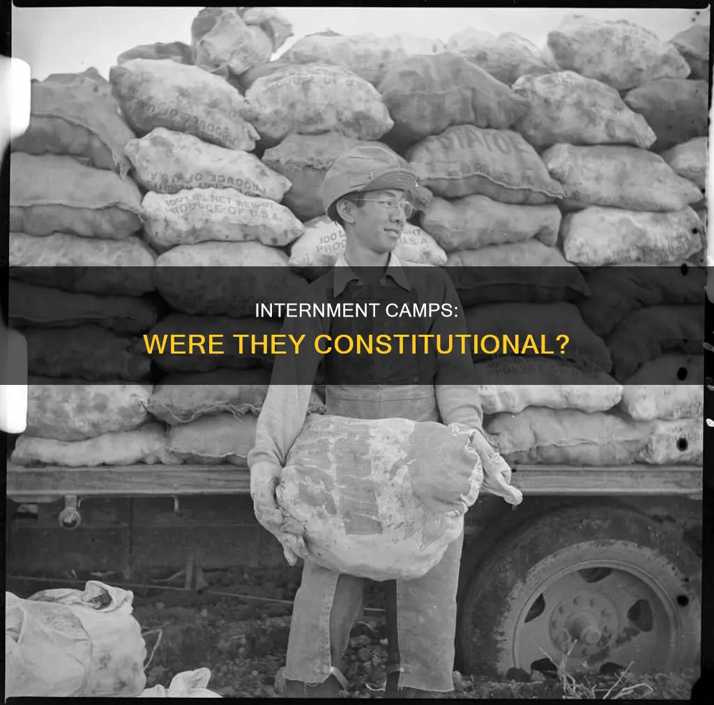 were the japanese internment camps constitutional or not