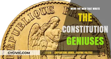 Founding Fathers: Constitutional Geniuses or Not?