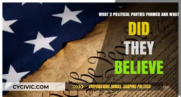 The Birth of Two Political Parties: Their Core Beliefs Explained