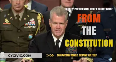 Presidential Roles: Two Unconstitutional Powers Explored