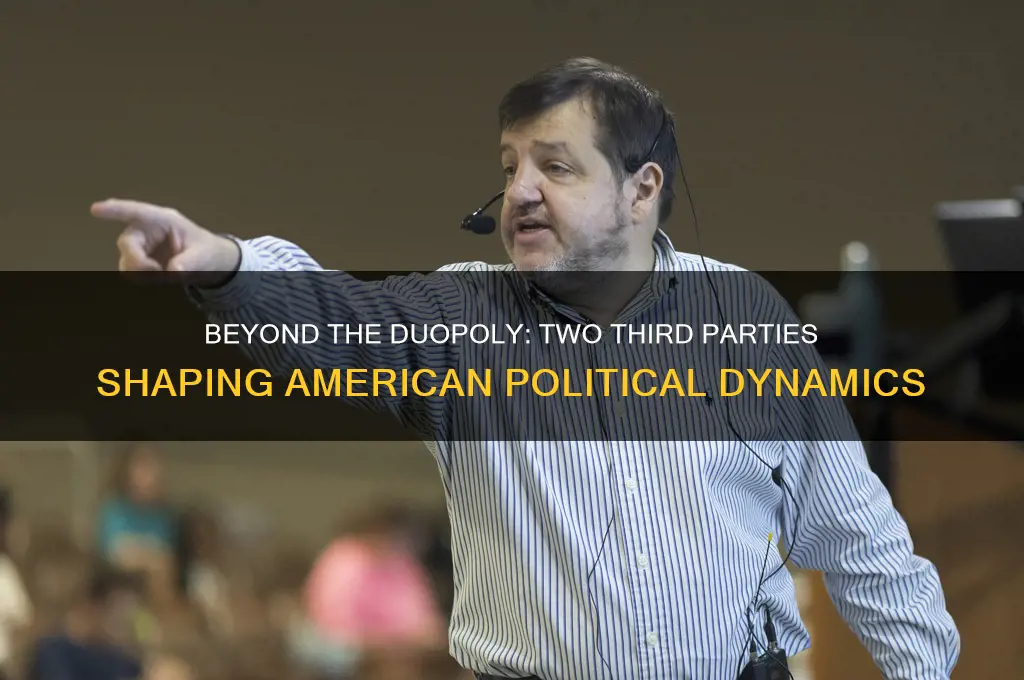 what 2 third parties influence american politics