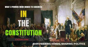 Congressional Powers Denied: The Constitution's 3 Limits