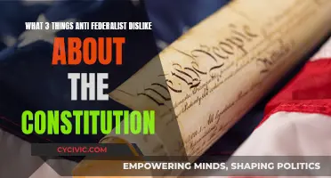 Anti-Federalist Constitution: Three Key Disliked Elements