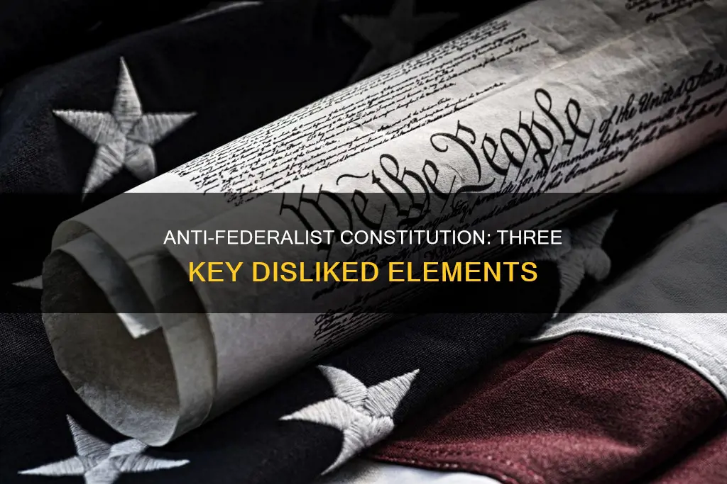 what 3 things anti federalist dislike about the constitution