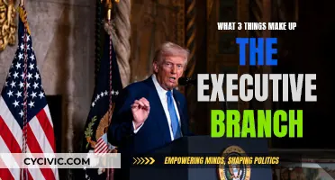 The Executive Branch: Three Key Components to Know