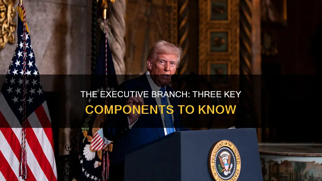 what 3 things make up the executive branch