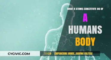 The Essential Four Atoms in Humans