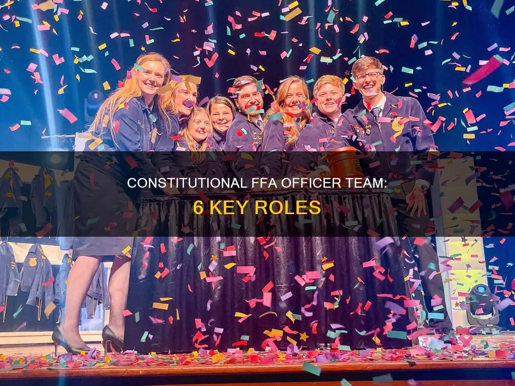 what 6 offices make up a constitutional ffa officer team