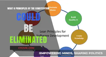 Principles of the Constitution That Should Be Removed