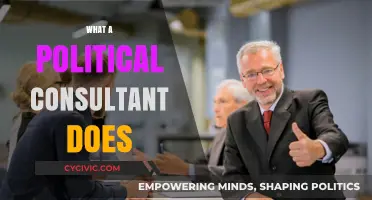 Understanding the Role of a Political Consultant: Strategies, Campaigns, and Influence
