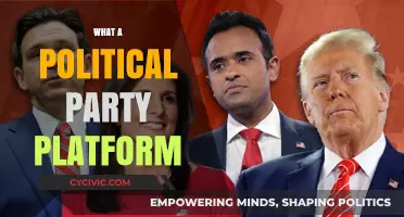 Understanding Political Party Platforms: Core Principles and Policy Stances Explained