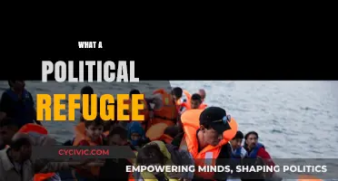 Understanding the Life and Struggles of a Political Refugee