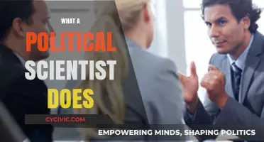 Understanding Politics: The Role and Impact of a Political Scientist