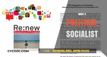Understanding Political Socialism: Principles, Goals, and Real-World Applications