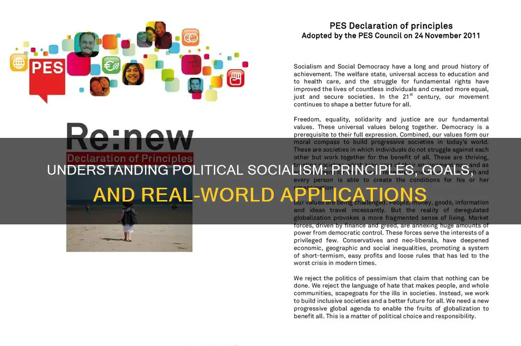 what a political socialist