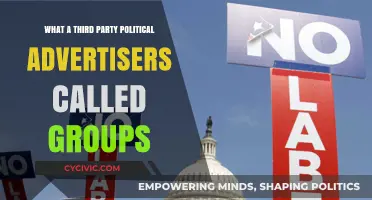 Understanding Third-Party Political Advertiser Groups: Roles, Influence, and Impact