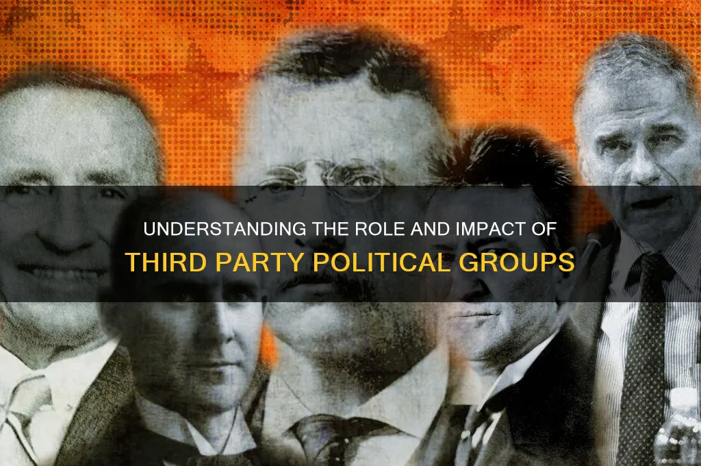 what a third party political groups