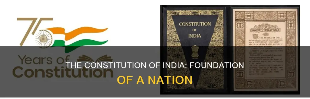 what about constitution of india