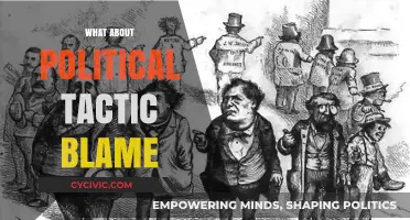 The Political Tactic of Blame: Strategies, Impact, and Consequences