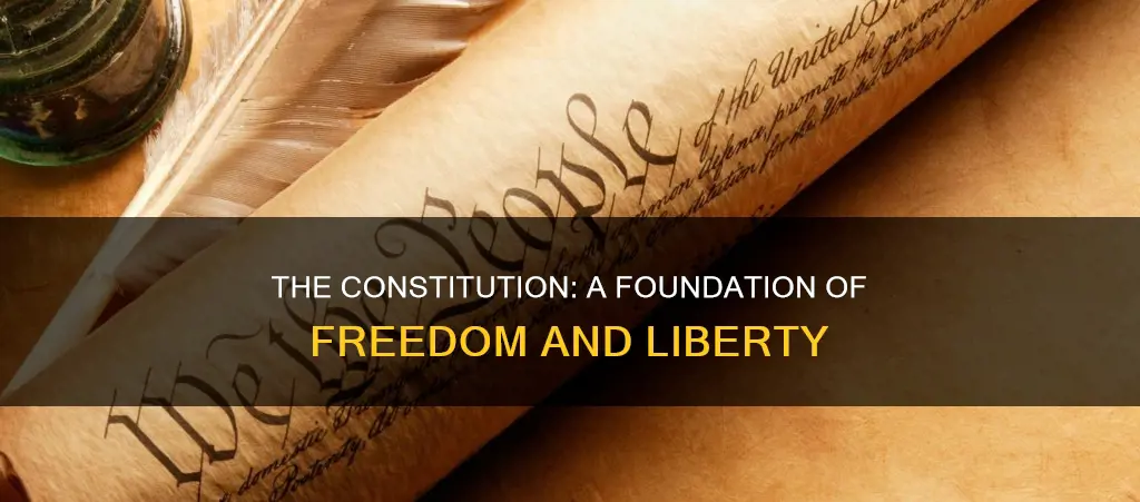 what about the constitution you liked when studing it