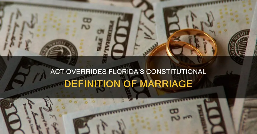 what act overrides the florida constitutional definition of marriage