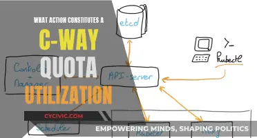 C-Way Quota Utilization: Actionable Steps for Effective Implementation