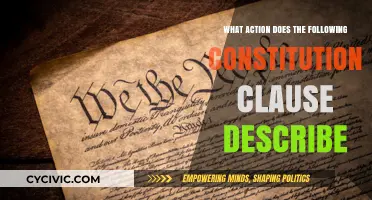 Constitutional Clause: Exploring Actions and Impacts