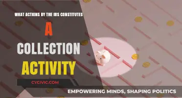 IRS Collection Activities: What Constitutes Action?